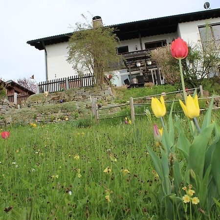 Haus Koblizek Apartman Waldkirchen Kültér fotó