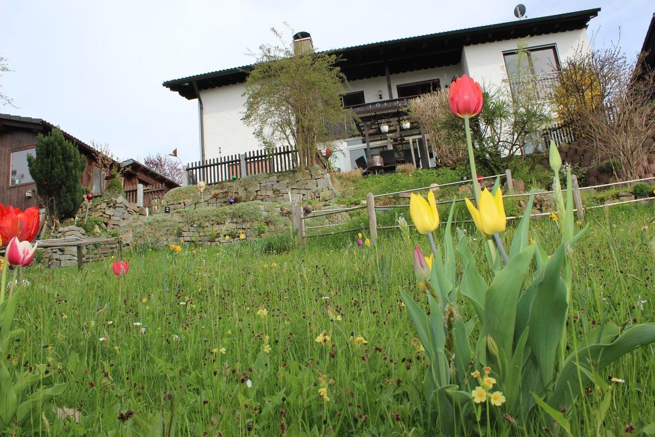 Haus Koblizek Apartman Waldkirchen Kültér fotó