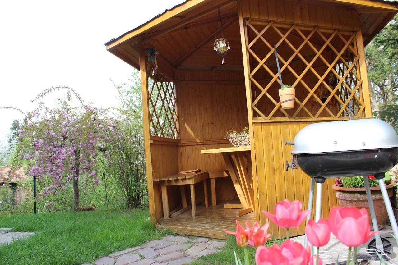 Haus Koblizek Apartman Waldkirchen Kültér fotó